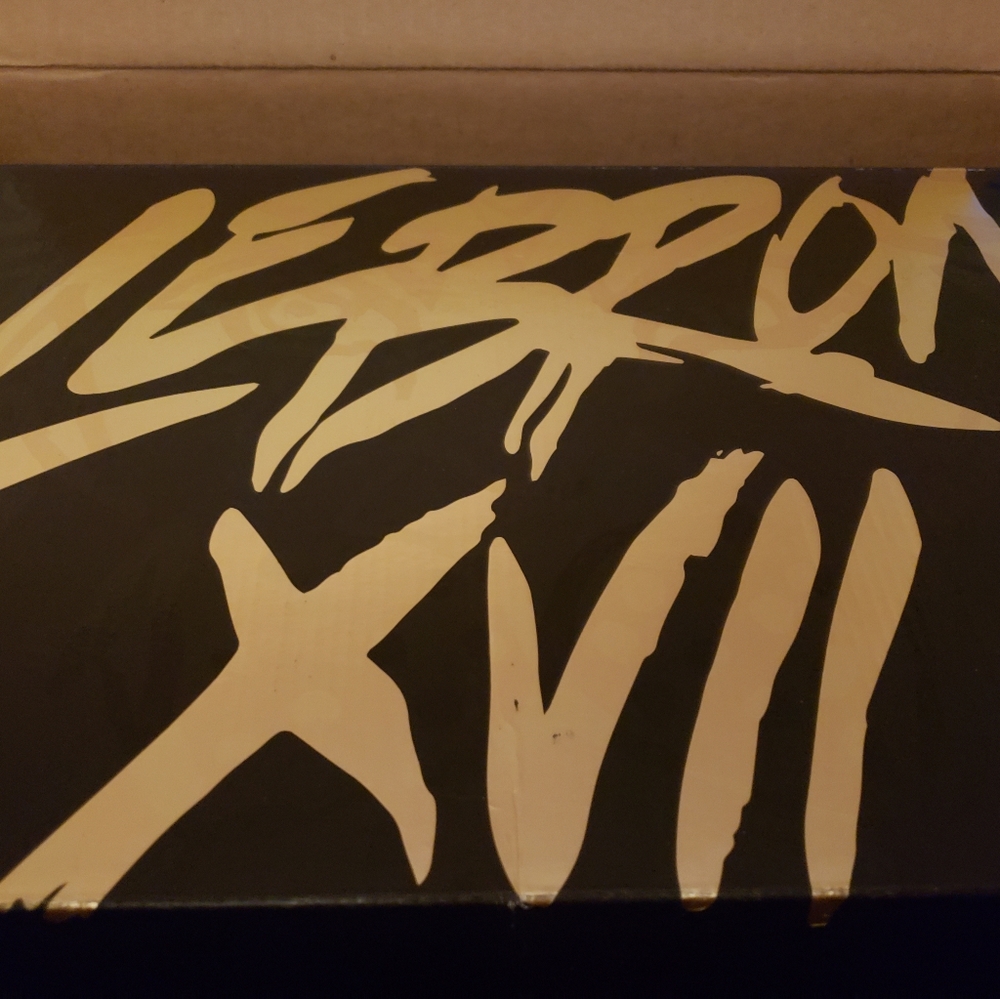 LeBron - Picture 3 of 3
